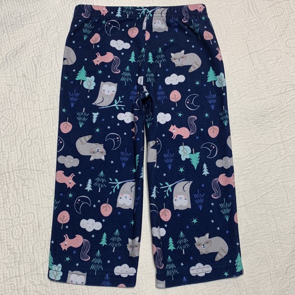2T (5/$20) Woodland-Themed Fleece Comfy Pants by Carter’s - Picture 9 of 11